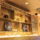 제노피시방 이미지