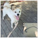 웅남동225 이미지