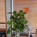 행정사 김현득 이미지