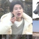 이상진농장 이미지