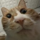 방배로19길 17 이미지