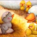 송암태권도 이미지