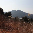 산양 궁항마을 네이버블로그