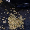 종점당구장 | 제목 : 없음