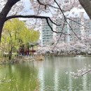 중리천로113번길 이미지