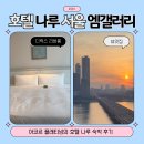 엠숙박 | 호텔 나루 서울 엠갤러리 아코르 플래티넘 숙박 후기
