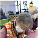 나비노인복지센터 이미지