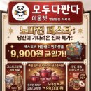 판다아울렛