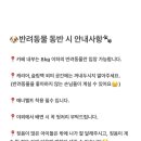 곡성-208 이미지