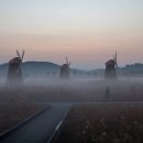 여명안경 이미지