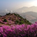 좋은세상 이미지