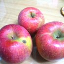 명지농원 이미지