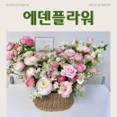 에덴플라워 - 미추홀구 경인로485번길 7 | 세종 꽃바구니 후기 , 에덴플라워 결혼기념일 꽃 선물