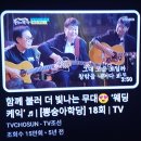 🎴🎗不後名曲송창식＜왜불러? 1975년,부정한권력의추적품격이실상된명곡이다, 영화~바보들의행진에서 발표된 발라드곡으로서금지곡피력 이미지