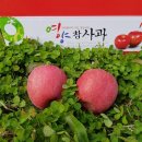 스마트스토어 숏 폼마케팅 이미지