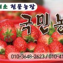 뻘등길 Daum카페