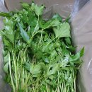 연한농장 이미지