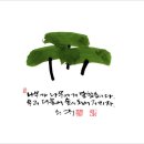 숲으로 가는 길 이미지