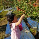 정빈농장 이미지