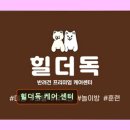 힐링독 반려견센터 | 대구 애견미용 반려동물 추천 정보 리뷰 힐더독 케어 센터 반려견 맞춤 케어 전문점