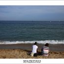 해운대 이미지