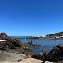 동그라미펜션,민박 | 울산주전몽돌해변/판지항 7월27일(일요일) 방문후기