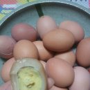 대한맥반석 이미지