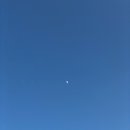 큰정할매순대국 이미지