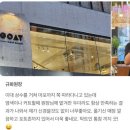 규화헤어 | [공지] 용강동 미용실 고트헤어에서 가을맞이 머리변신!