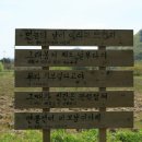 와보랑께박물관 이미지