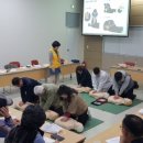 안전농장 이미지