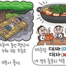 [354] '대자'와 '대짜' 이미지