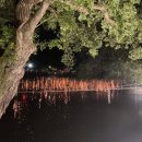 NR-3[경상대로]-상-201 | 경남 여행 - 함안 낙화놀이, 하동 세계차엑스포