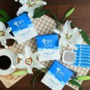 하얀클린 이미지