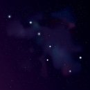 별빛남문시장 이미지