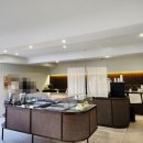 논산애견 이미지