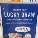 잠실 팝업 요거트월드X이웃집통통이 내돈내산 후기🍦
