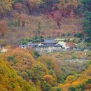 꼬깔산 등산로1 이미지