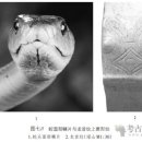 용수꼴