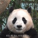 삼삼치킨 이미지