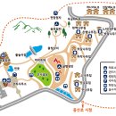 양촌바베큐 네이버블로그