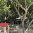 옥천밸리 이미지