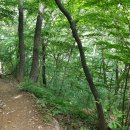 천주산 입구 이미지