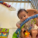 카페범보 | 에시앙 범보의자 사용시기 및 4개월 사용후기 범보의자 추천 (내돈내산)