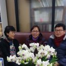 법무사김창호사무소
