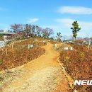 선학산전망대 이미지