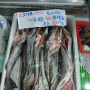 속초생태찌개