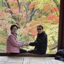 고궁 문화탐방(창덕궁.창경궁.종묘,2025.11.08.토) 이미지