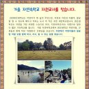 샘자원 이미지
