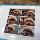 메씨엘리 이미지